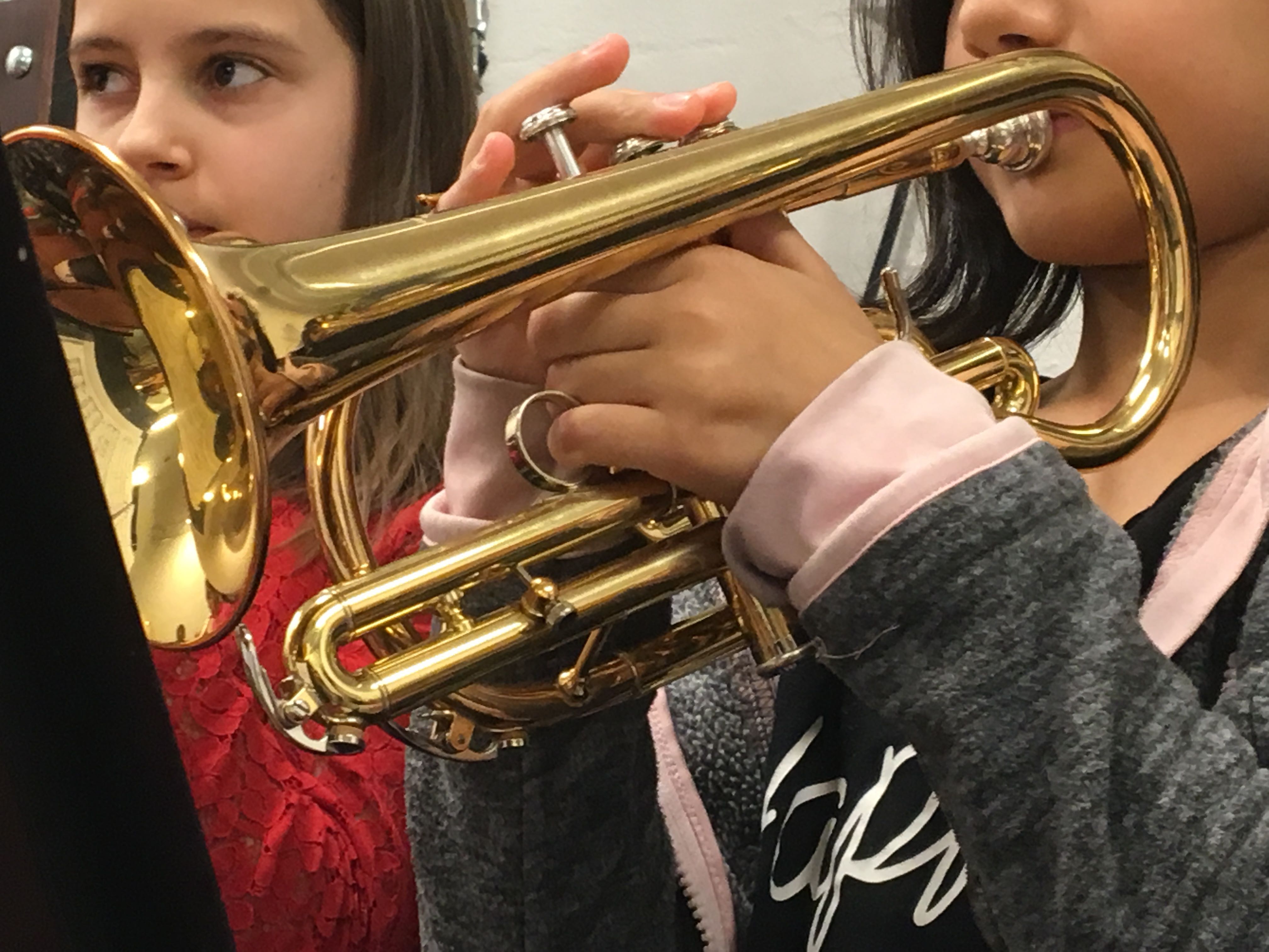 Artikkelbilde til artikkelen Vil du bli med i korpset?